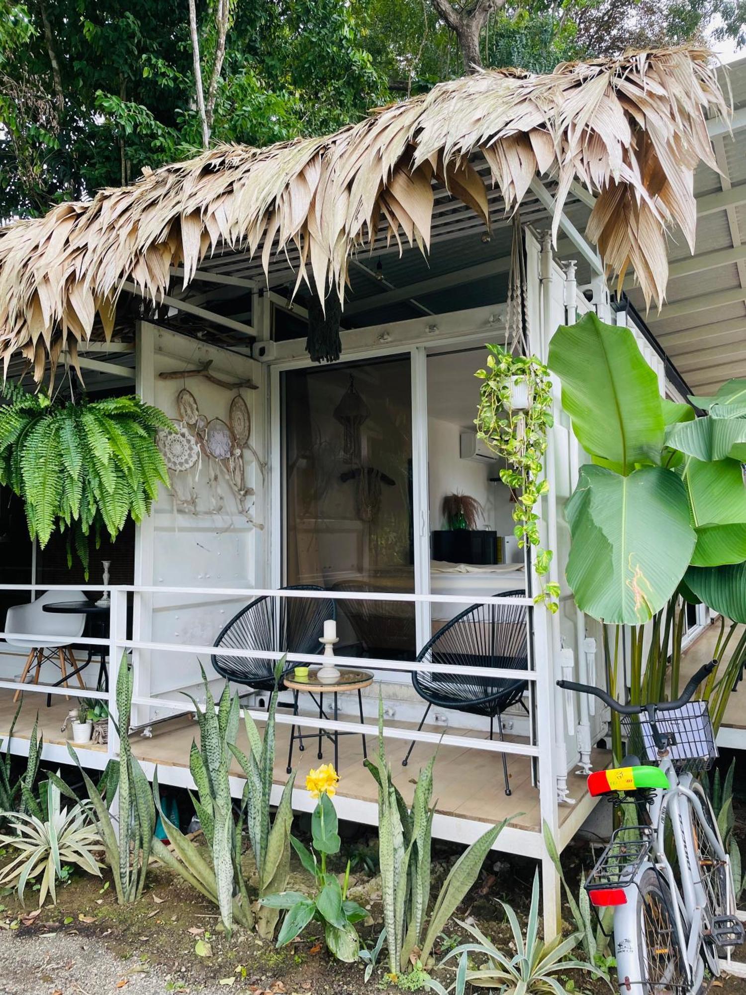 Casa Luce Bed and Breakfast Puerto Viejo de Talamanca Εξωτερικό φωτογραφία