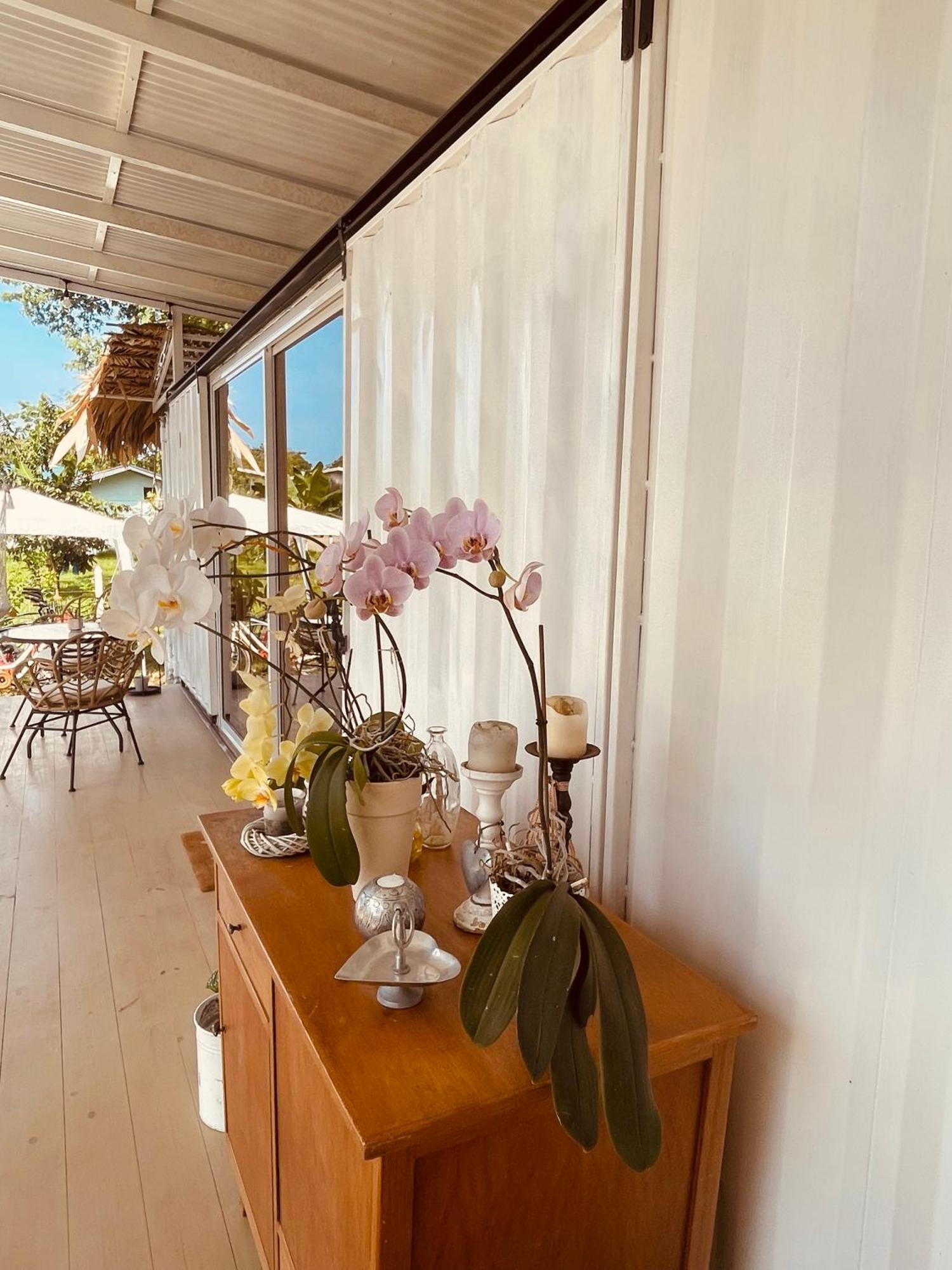 Casa Luce Bed and Breakfast Puerto Viejo de Talamanca Εξωτερικό φωτογραφία