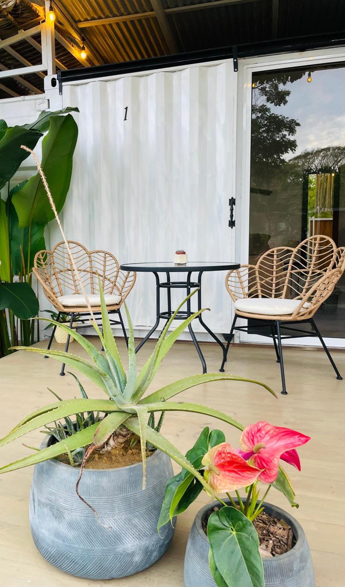 Casa Luce Bed and Breakfast Puerto Viejo de Talamanca Εξωτερικό φωτογραφία
