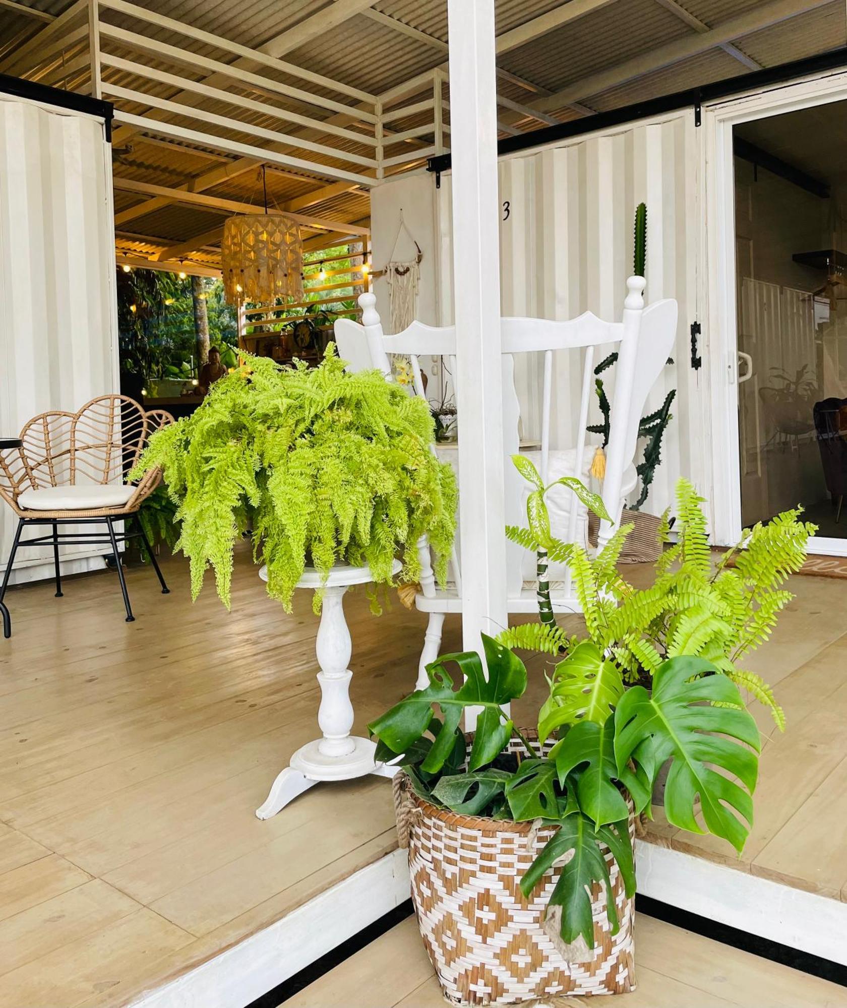 Casa Luce Bed and Breakfast Puerto Viejo de Talamanca Εξωτερικό φωτογραφία